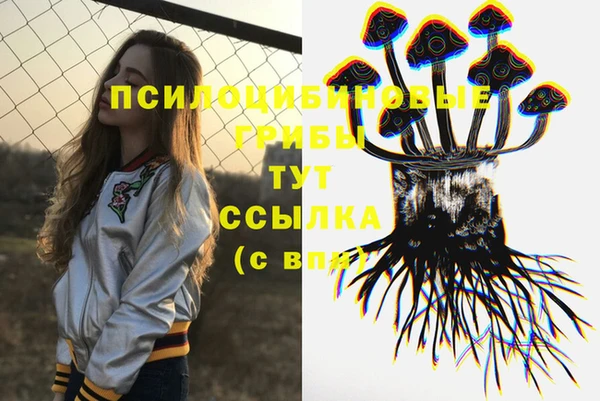 ПСИЛОЦИБИНОВЫЕ ГРИБЫ Алексеевка