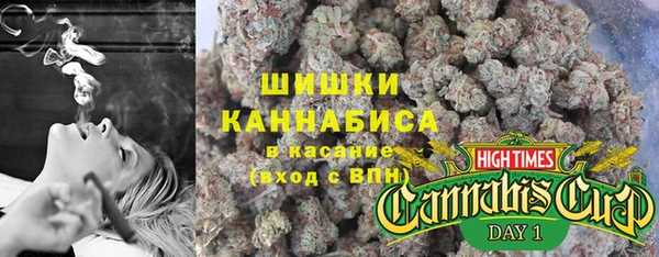 ПСИЛОЦИБИНОВЫЕ ГРИБЫ Алексеевка