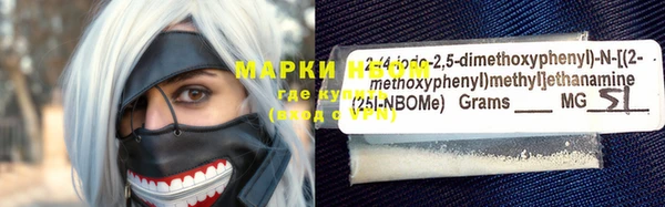 метадон Алексин