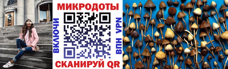 Галлюциногенные грибы Magic Shrooms  мориарти какой сайт  Бабаево  хочу наркоту 